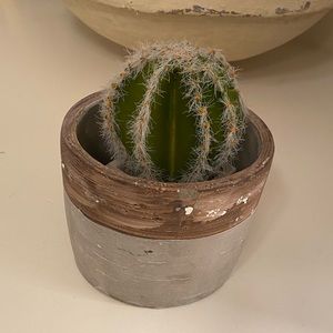 Weathered vase with artificial cactus